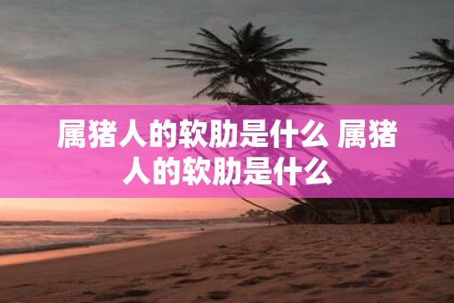 属猪人的软肋是什么 属猪人的软肋是什么