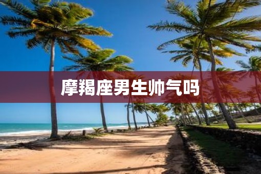 摩羯座男生帅气吗