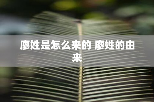 廖姓是怎么来的 廖姓的由来
