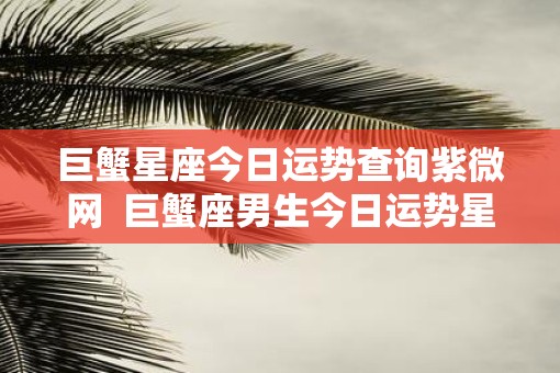 巨蟹星座今日运势查询紫微网  巨蟹座男生今日运势星座屋