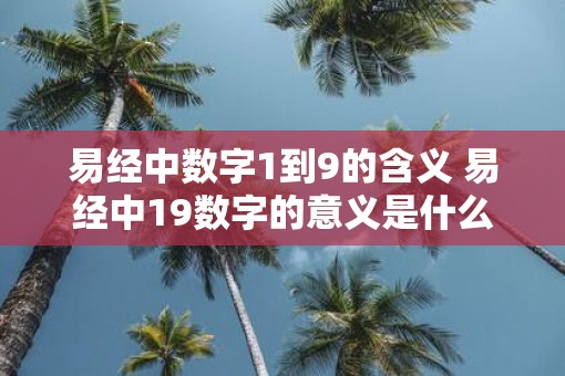 易经中数字1到9的含义 易经中19数字的意义是什么