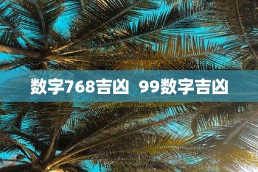 数字768吉凶  99数字吉凶