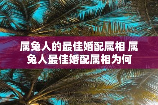 属兔人的最佳婚配属相 属兔人最佳婚配属相为何