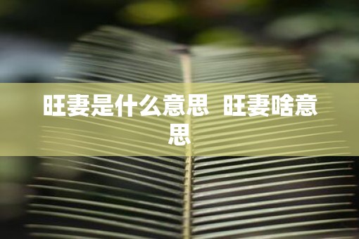 旺妻是什么意思  旺妻啥意思