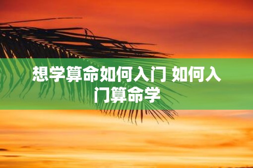想学算命如何入门 如何入门算命学