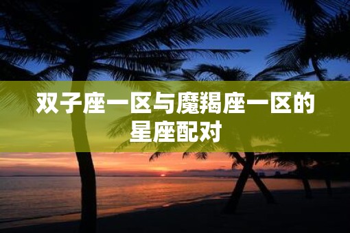 双子座一区与魔羯座一区的星座配对