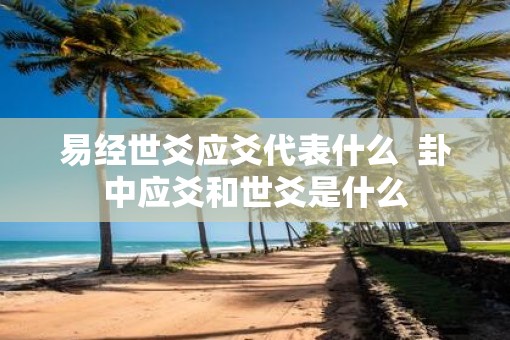 易经世爻应爻代表什么  卦中应爻和世爻是什么