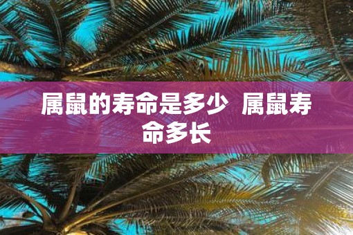 属鼠的寿命是多少  属鼠寿命多长