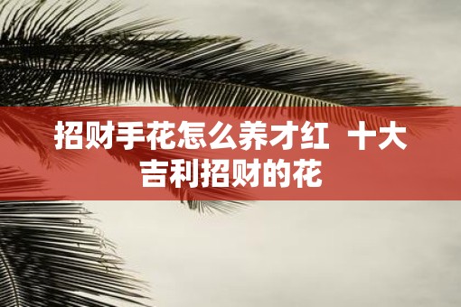 招财手花怎么养才红 十大吉利招财的花 招财手花怎么养才红 十大吉利招财的花