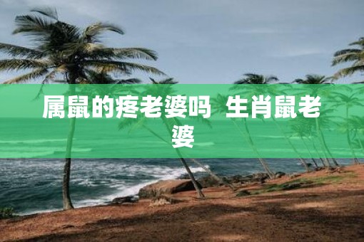 属鼠的疼老婆吗  生肖鼠老婆