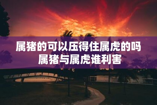 属猪的可以压得住属虎的吗 属猪与属虎谁利害