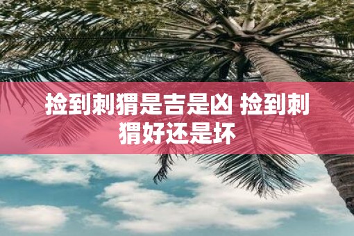 捡到刺猬是吉是凶 捡到刺猬好还是坏