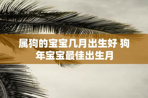 属狗的宝宝几月出生好 狗年宝宝最佳出生月