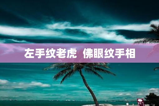 左手纹老虎  佛眼纹手相