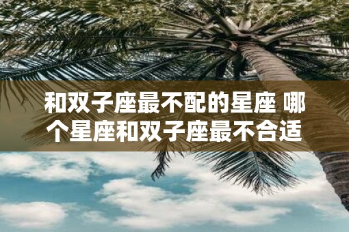 和双子座最不配的星座 哪个星座和双子座最不合适