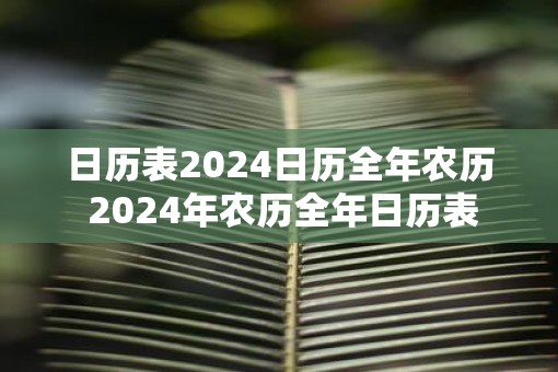 日历表2025日历全年农历 2025年农历全年日历表