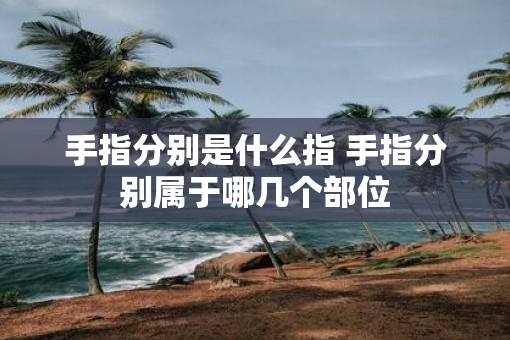 手指分别是什么指 手指分别属于哪几个部位