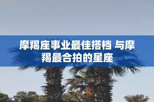 摩羯座事业最佳搭档 与摩羯最合拍的星座