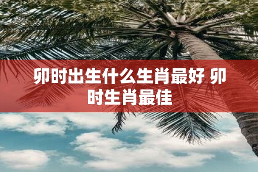 卯时出生什么生肖最好 卯时生肖最佳