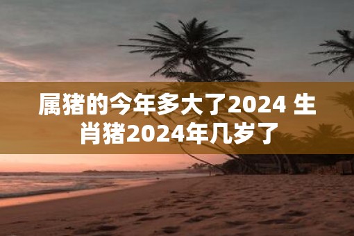 属猪的今年多大了2025 生肖猪2025年几岁了