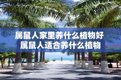 属鼠人家里养什么植物好 属鼠人适合养什么植物