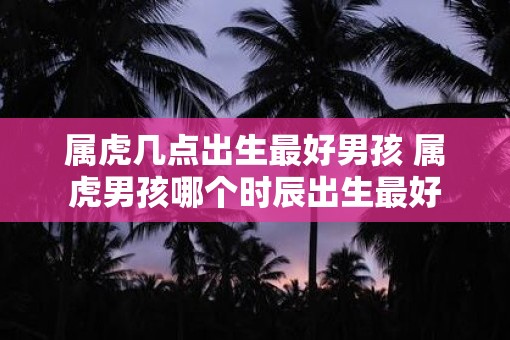 属虎几点出生最好男孩 属虎男孩哪个时辰出生最好