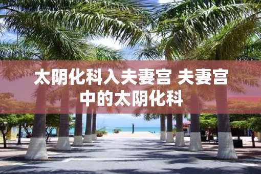 太阴化科入夫妻宫 夫妻宫中的太阴化科