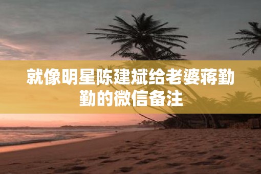 就像明星陈建斌给老婆蒋勤勤的微信备注