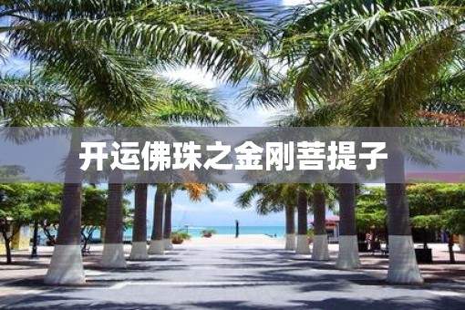 开运佛珠之金刚菩提子