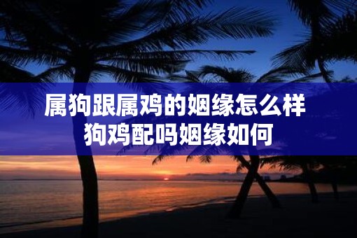 属狗跟属鸡的姻缘怎么样 狗鸡配吗姻缘如何