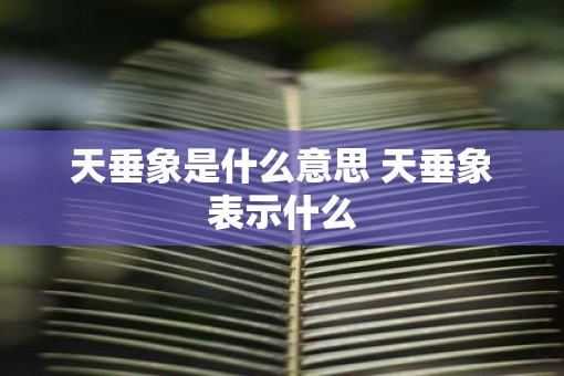 天垂象是什么意思 天垂象表示什么