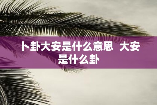 卜卦大安是什么意思  大安是什么卦