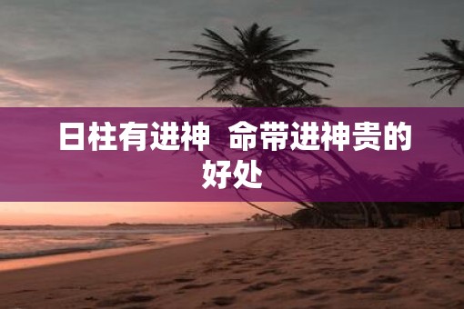 日柱有进神  命带进神贵的好处