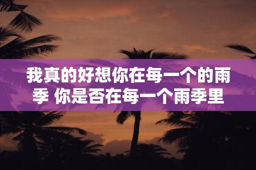 我真的好想你在每一个的雨季 你是否在每一个雨季里想念着我