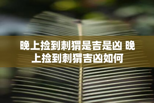 晚上捡到刺猬是吉是凶 晚上捡到刺猬吉凶如何