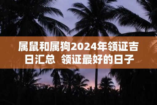 属鼠和属狗2025年领证吉日汇总  领证最好的日子