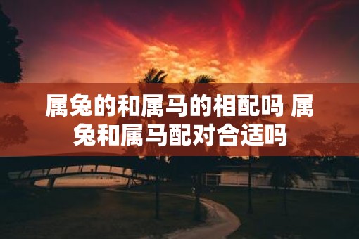 属兔的和属马的相配吗 属兔和属马配对合适吗