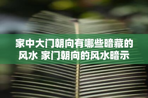 家中大门朝向有哪些暗藏的风水 家门朝向的风水暗示