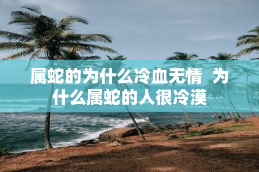 属蛇的为什么冷血无情  为什么属蛇的人很冷漠