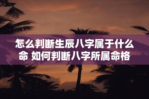 怎么判断生辰八字属于什么命 如何判断八字所属命格