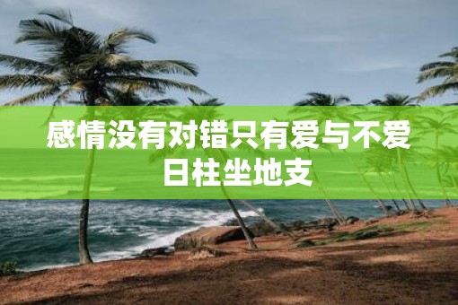 感情没有对错只有爱与不爱  日柱坐地支