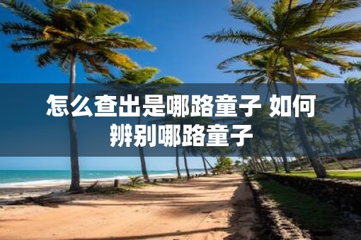 怎么查出是哪路童子 如何辨别哪路童子