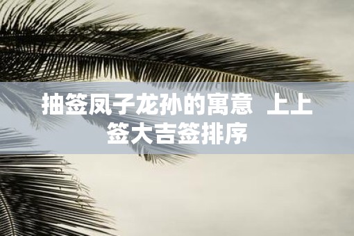抽签凤子龙孙的寓意  上上签大吉签排序