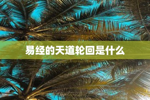 易经的天道轮回是什么