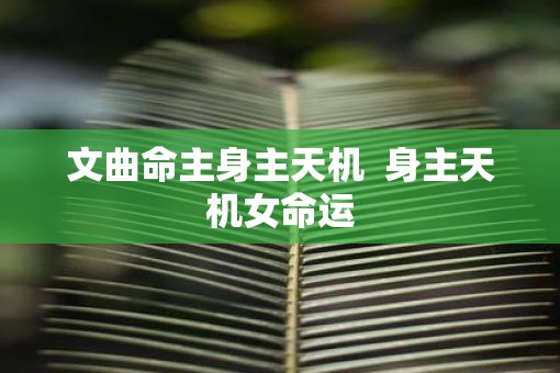 文曲命主身主天机  身主天机女命运