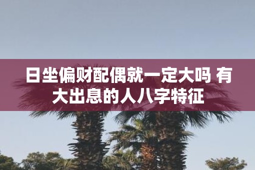 日坐偏财配偶就一定大吗 有大出息的人八字特征