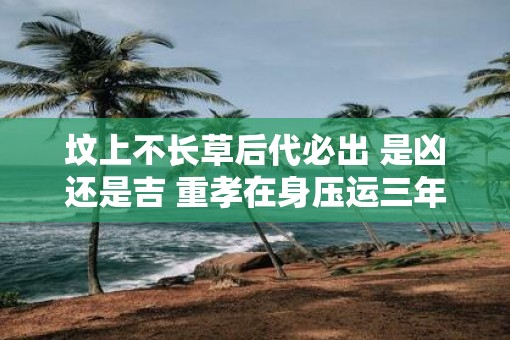 坟上不长草后代必出 是凶还是吉 重孝在身压运三年是对谁