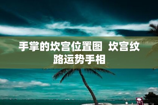 手掌的坎宫位置图  坎宫纹路运势手相