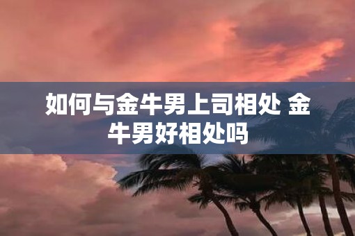 如何与金牛男上司相处 金牛男好相处吗