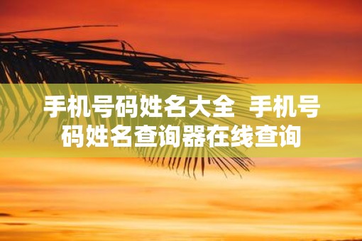 手机号码姓名大全  手机号码姓名查询器在线查询